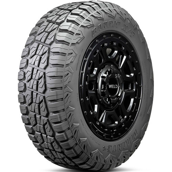DELINTE - 225-55-19 DELINTE DX20  X/T 99H 660AA**55K**+ROAD HAZARD M+S