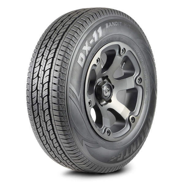 DELINTE - LT275-70-18 DELINTE DX11 125/122S LRE M+S**50K**+ROAD HAZARD