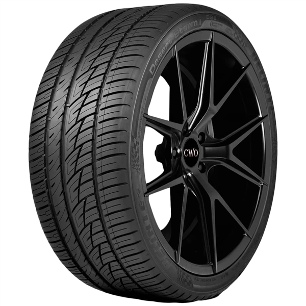 DELINTE - 285-30R-21 DELINTE DS8 100Y  M+S 500AA**50K**+ROAD HAZARD