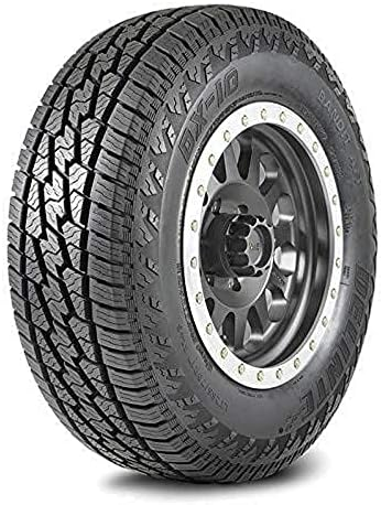 DELINTE - 285-45-22 DELINTE DX10 A/T 116H XL M+S**50K**+ROAD HAZARD 500AA
