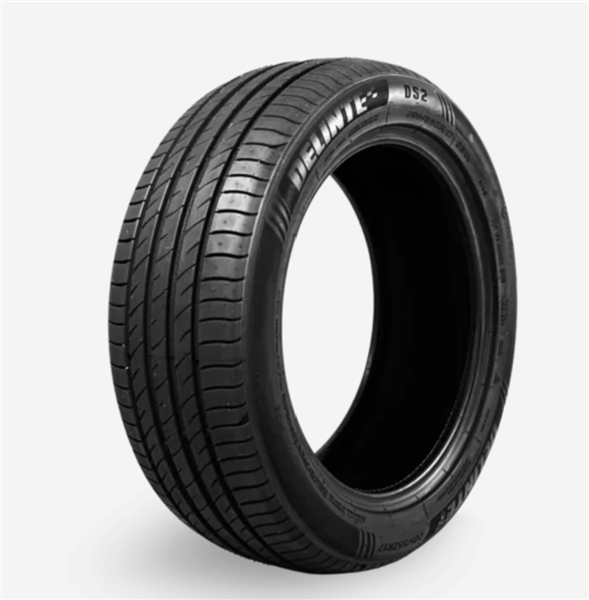 DELINTE - 205-40ZR-17 DELINTE DS2 84W TG1 M+S 500AA**55K**+ROAD HAZARD